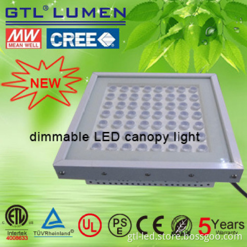 dimmable LED canopy light for petrol station light with ETL listed